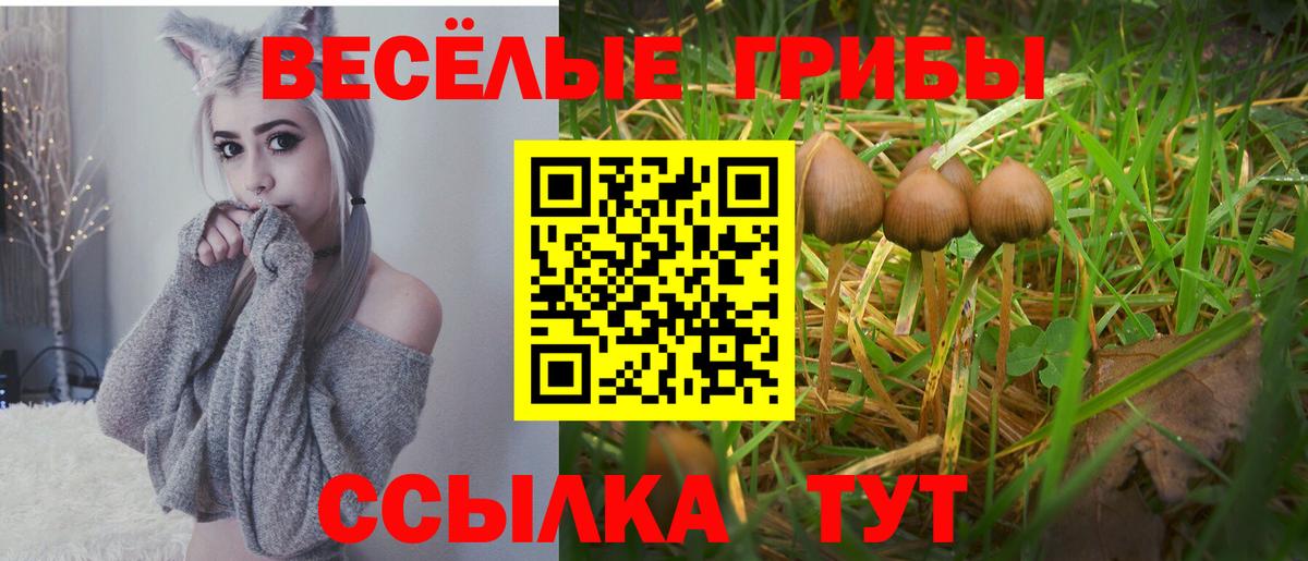Галлюциногенные грибы Magic Shrooms  Вход с VPN  Псилоцибиновые грибы MAGIC MUSHROOMS  Избербаш 